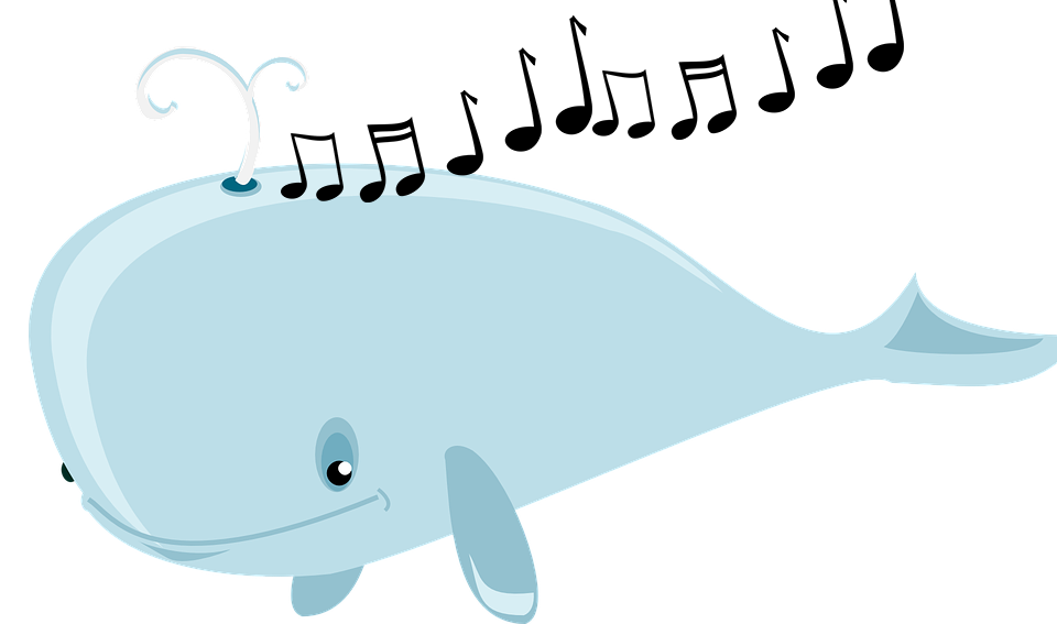 Why do whales sing?